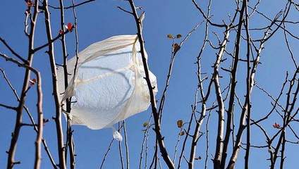 限塑十年再出發(fā) 以創(chuàng)新技術(shù)與方法應(yīng)對(duì)新挑戰(zhàn)